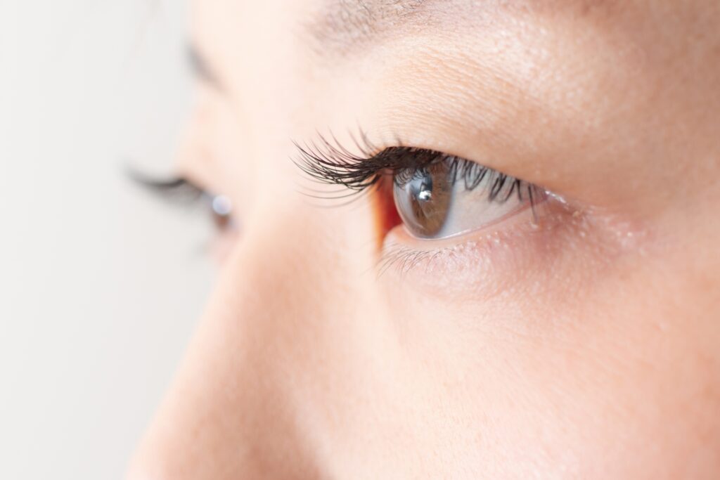 眼科における再生医療の研究を紹介